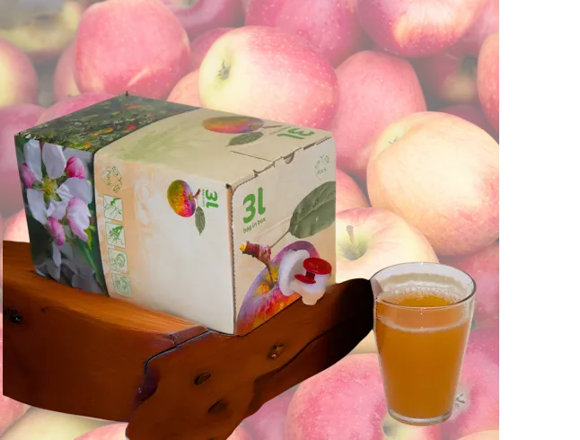 3-Liter Apfelsaft im Spenderkarton mit Glas, vor frischen Äpfeln