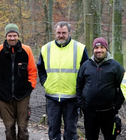 Fünf Arbeiter im Herbstwald auf Waldweg, drei in Warnjacken, Teamfoto im Freien.