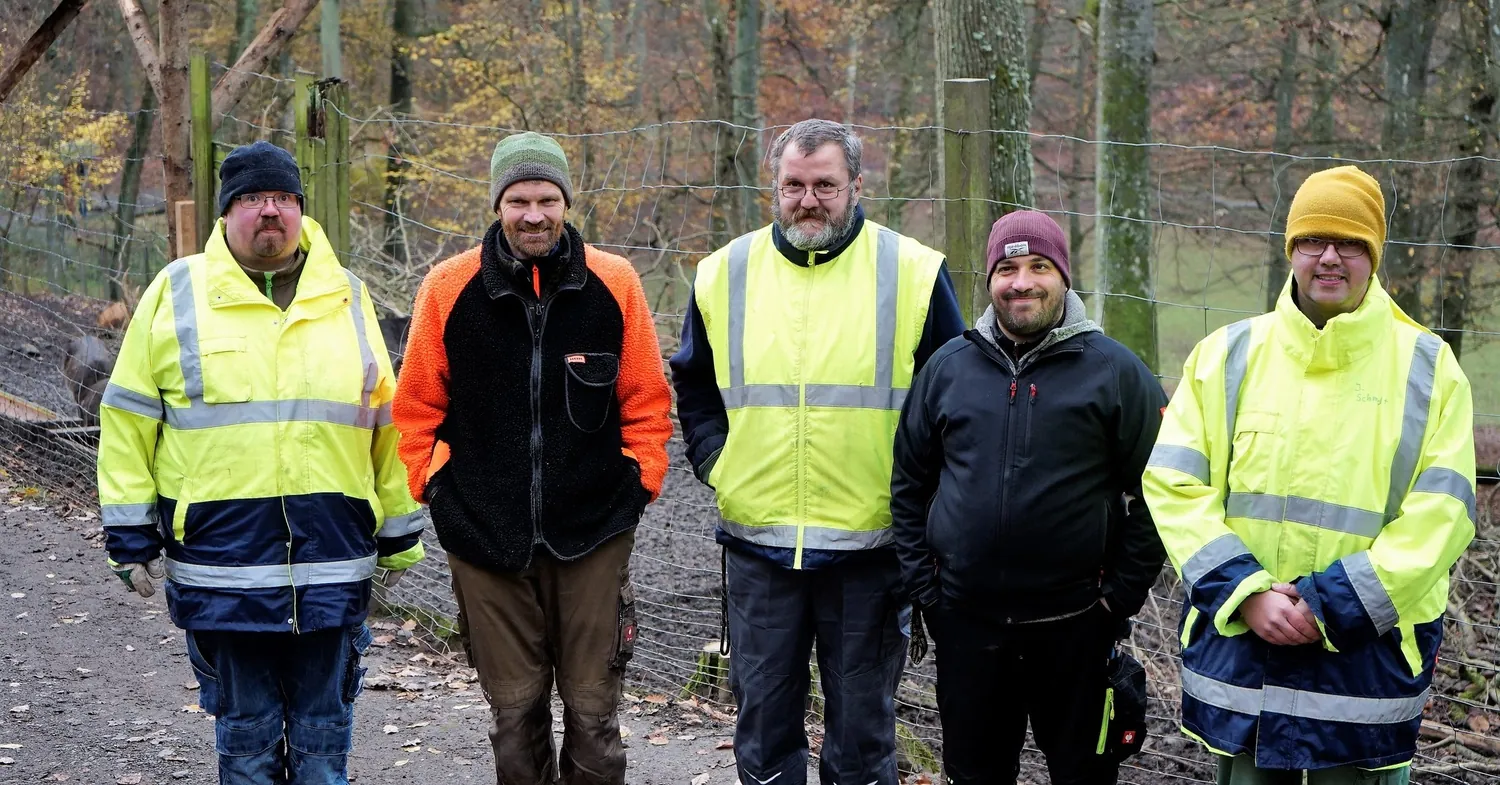 Fünf Forstarbeiter im Warnschutz am Waldweg im Herbst, Teamfoto im Forst.