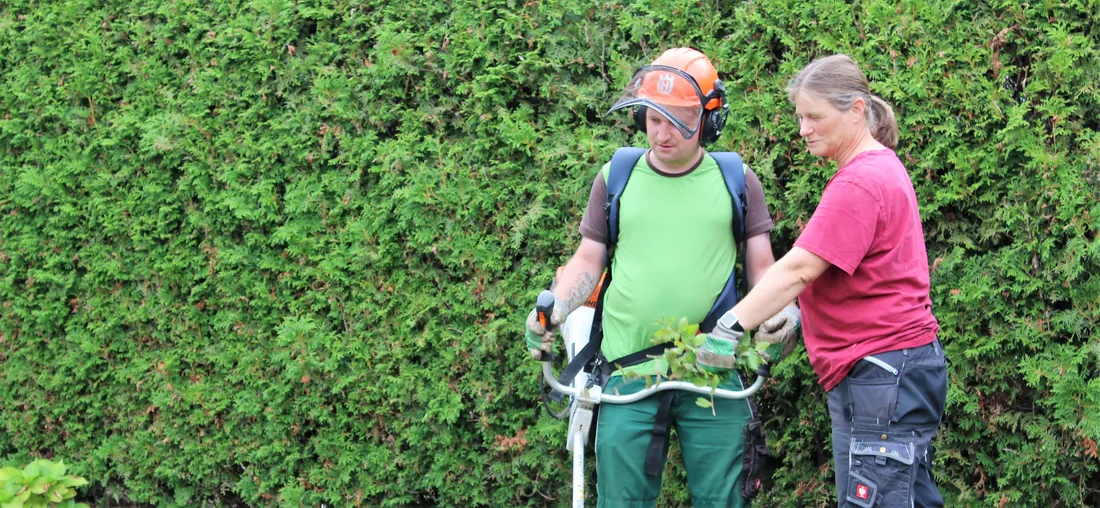 Anleitung zum Heckenschnitt mit Freischneider: Zwei Gärtner arbeiten vor grüner Hecke.